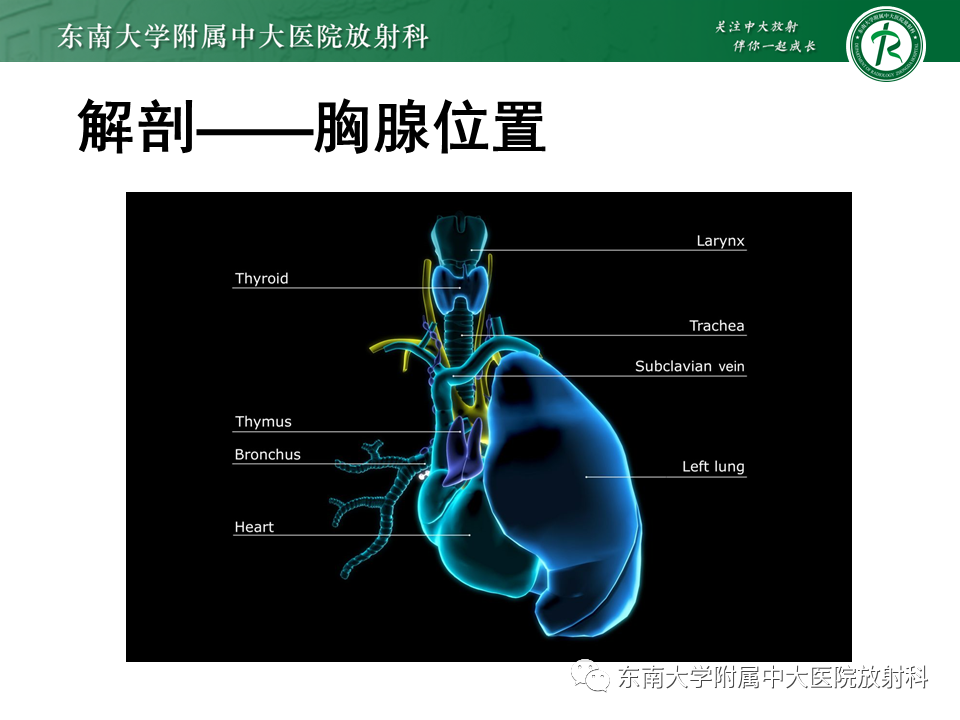 影像PPT - 【PPT】胸腺上皮肿瘤-7