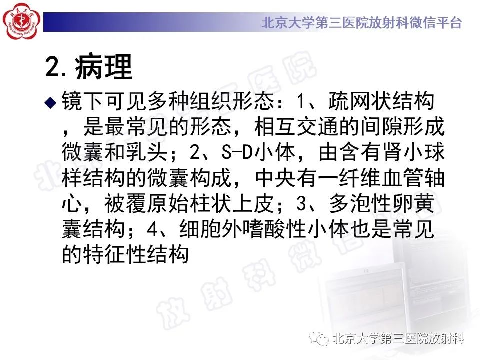 影像PPT - 【PPT】原发性纵隔卵黄囊瘤-10