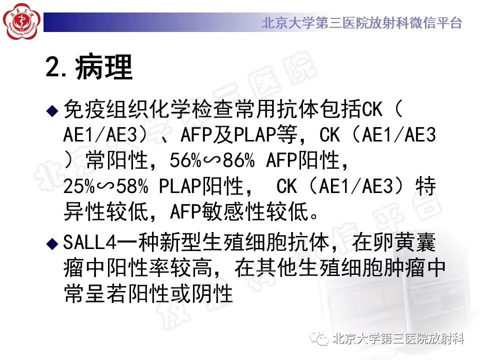 影像PPT - 【PPT】原发性纵隔卵黄囊瘤-12