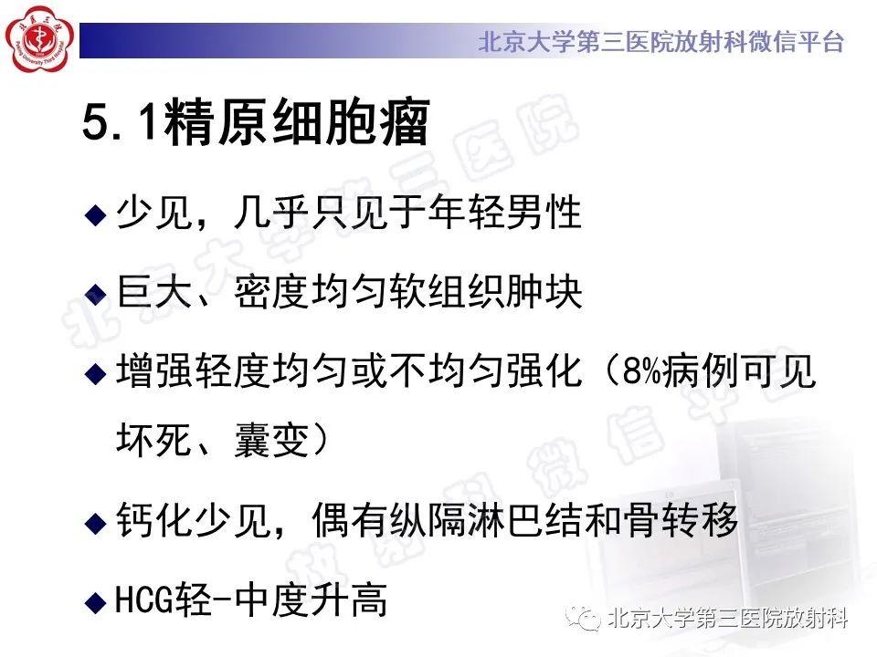 影像PPT - 【PPT】原发性纵隔卵黄囊瘤-21