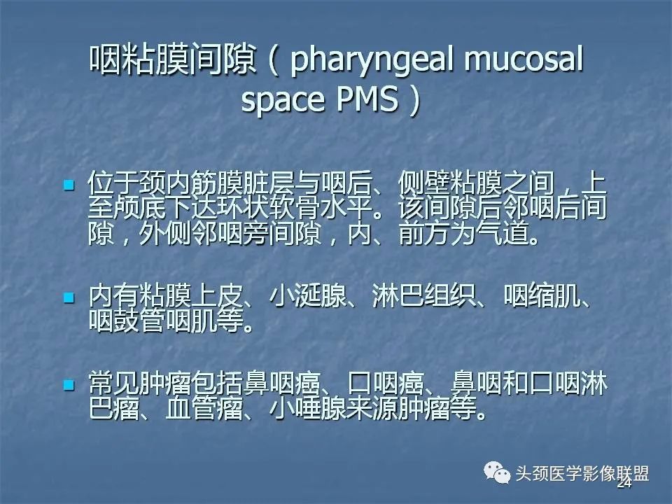 影像PPT - 【PPT】咽旁间隙与咽旁肿瘤的影像诊断-24