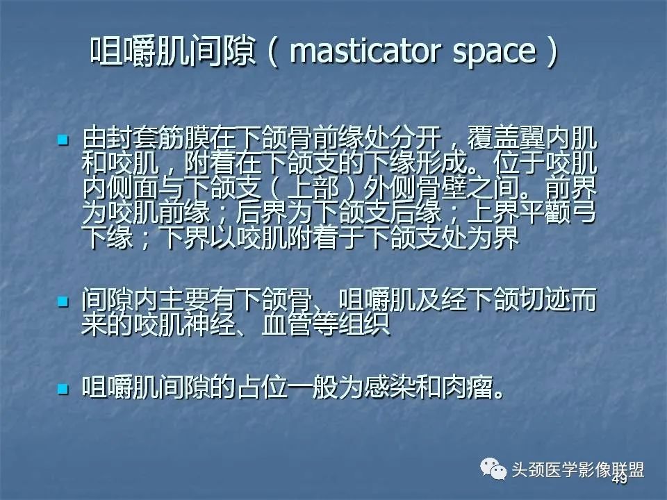 影像PPT - 【PPT】咽旁间隙与咽旁肿瘤的影像诊断-49