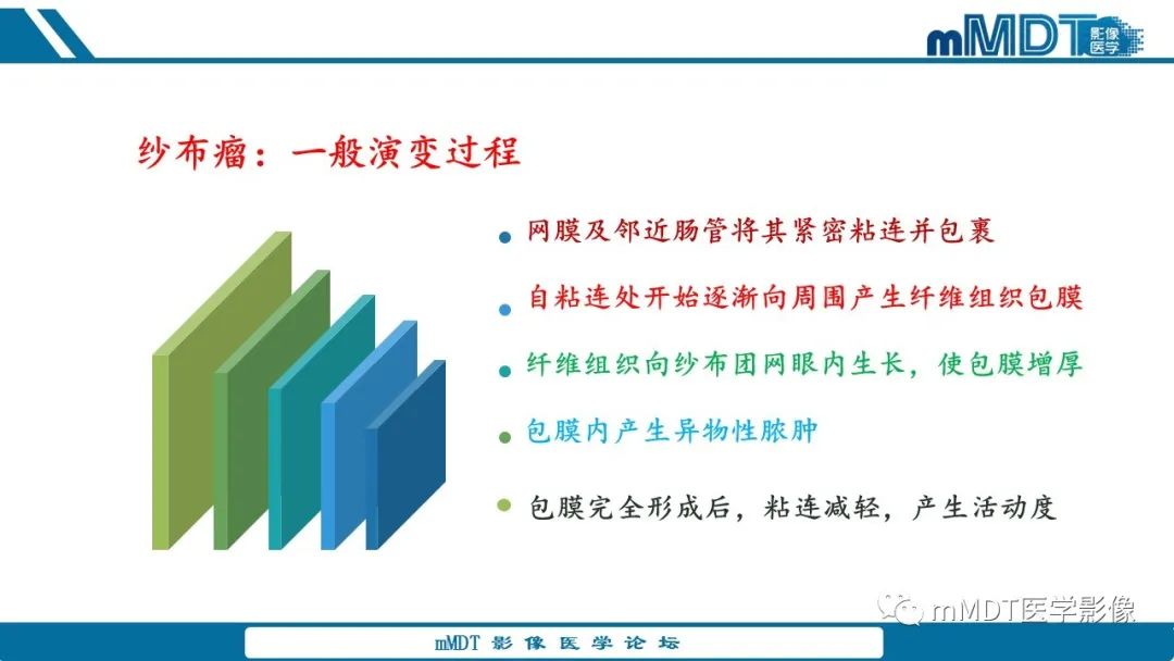 影像PPT - 【病例】盆腔纱布瘤1例MR影像解析-32