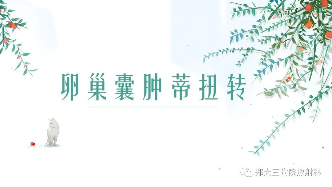 影像PPT - 【PPT】卵巢囊肿伴蒂扭转-10
