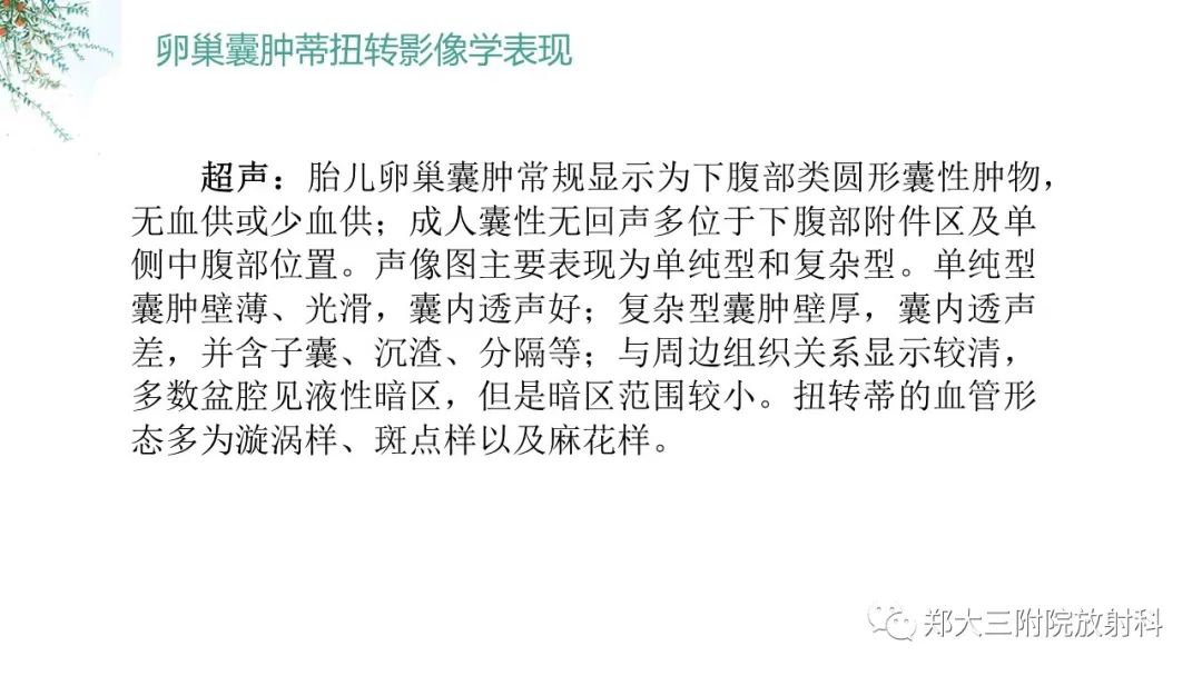 影像PPT - 【PPT】卵巢囊肿伴蒂扭转-17
