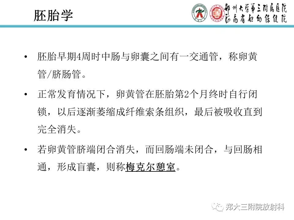 影像PPT - 【PPT】梅克尔憩室-5