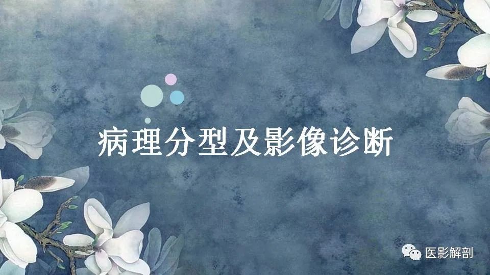 影像PPT - 【PPT】肝血管瘤的分型与影像学诊断-5
