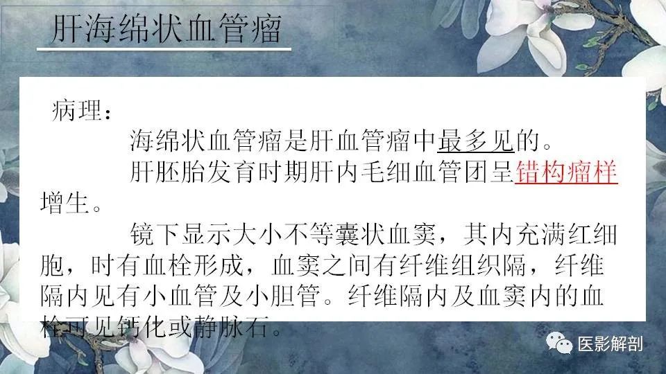 影像PPT - 【PPT】肝血管瘤的分型与影像学诊断-7