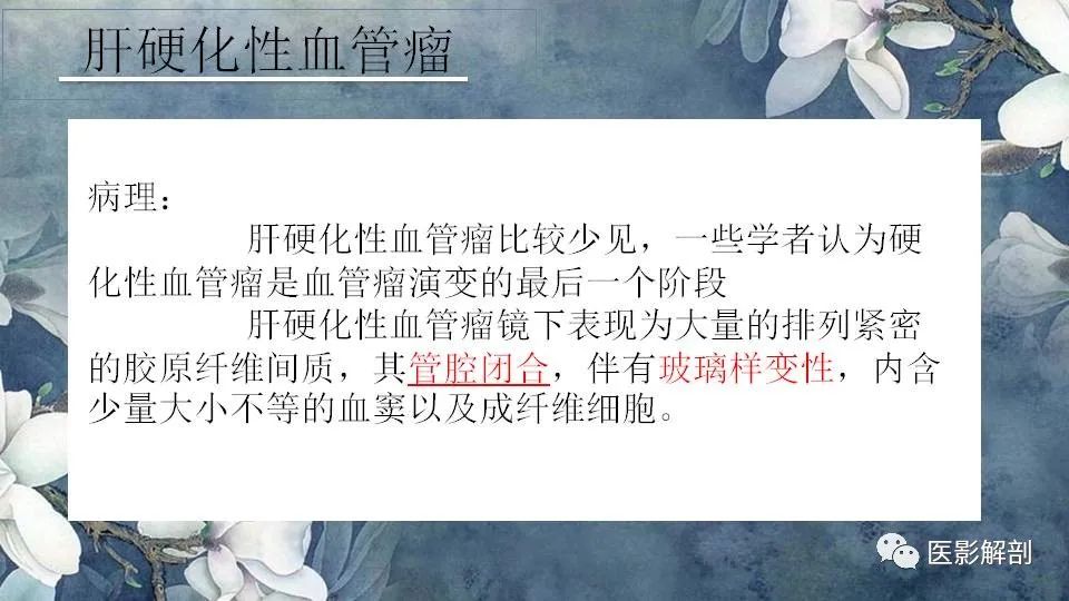 影像PPT - 【PPT】肝血管瘤的分型与影像学诊断-13