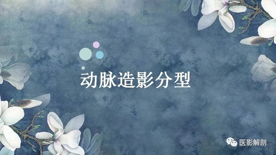 影像PPT - 【PPT】肝血管瘤的分型与影像学诊断-23
