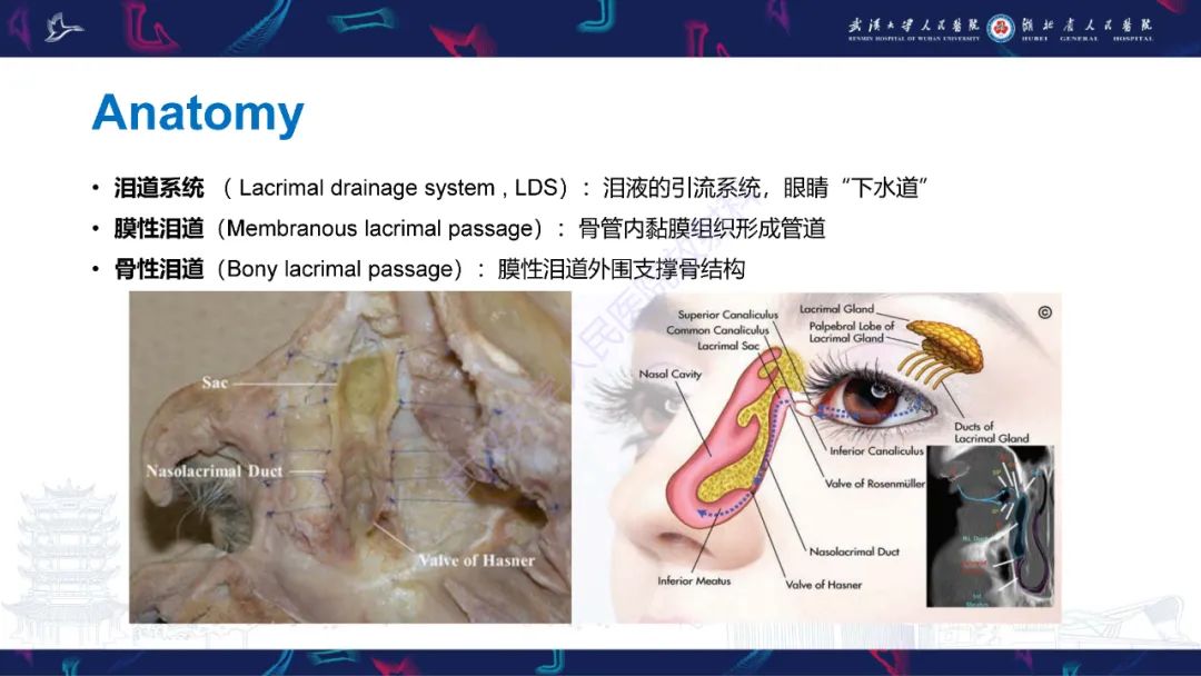 影像PPT - 【PPT】泪道病变影像诊断-5