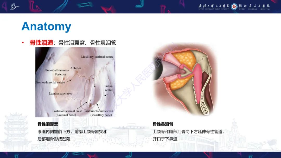 影像PPT - 【PPT】泪道病变影像诊断-8