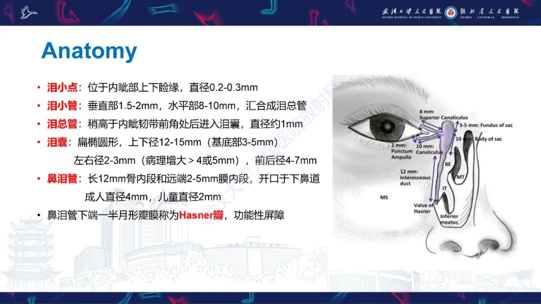 影像PPT - 【PPT】泪道病变影像诊断-7