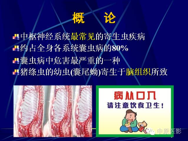 影像PPT - 【PPT】脑囊虫病的影像学诊断-2