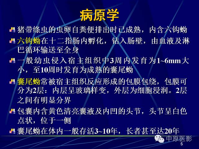 影像PPT - 【PPT】脑囊虫病的影像学诊断-4
