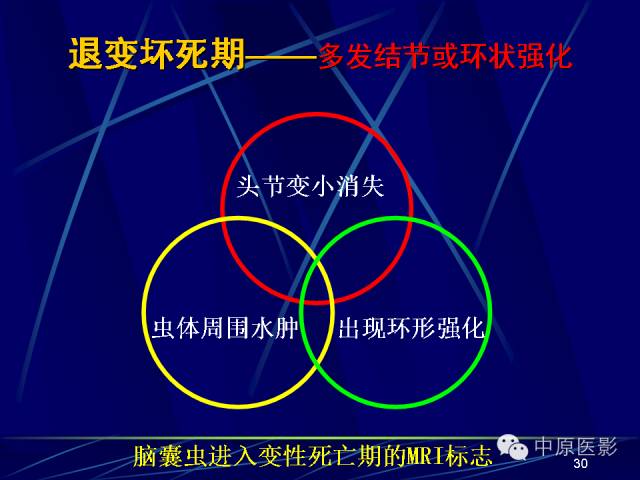 影像PPT - 【PPT】脑囊虫病的影像学诊断-29