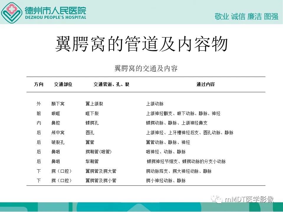 影像PPT - 【PPT】小小孔穴连洞天——翼腭窝的颅底交通-14