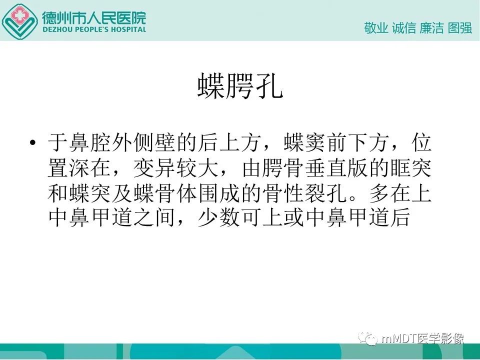 影像PPT - 【PPT】小小孔穴连洞天——翼腭窝的颅底交通-31