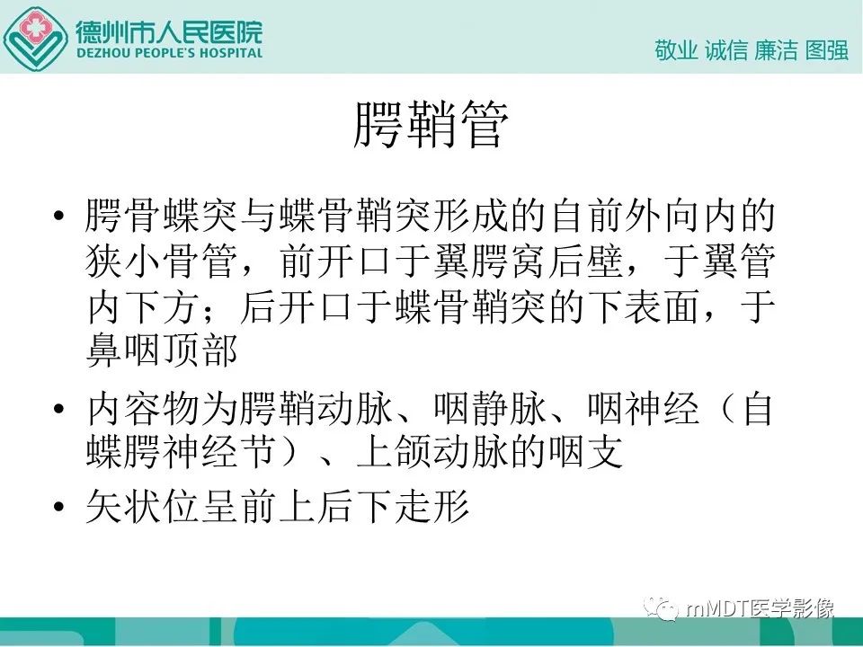 影像PPT - 【PPT】小小孔穴连洞天——翼腭窝的颅底交通-39
