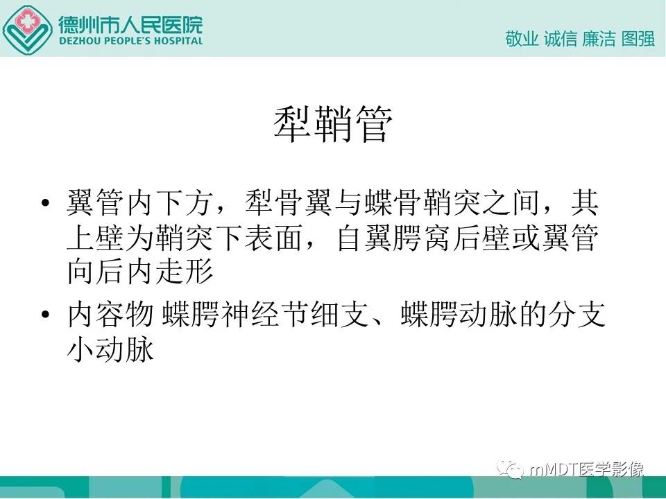 影像PPT - 【PPT】小小孔穴连洞天——翼腭窝的颅底交通-41