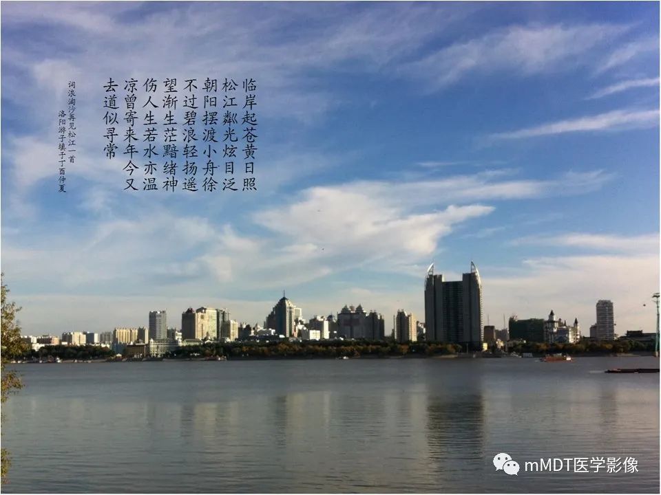 影像PPT - 【PPT】小小孔穴连洞天——翼腭窝的颅底交通-46