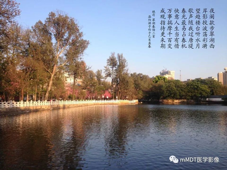 影像PPT - 【PPT】小小孔穴连洞天——翼腭窝的颅底交通-54