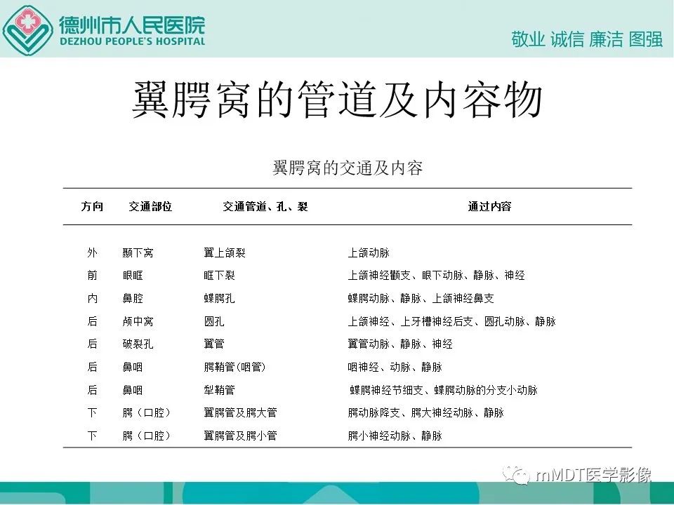 影像PPT - 【PPT】小小孔穴连洞天——翼腭窝的颅底交通-63