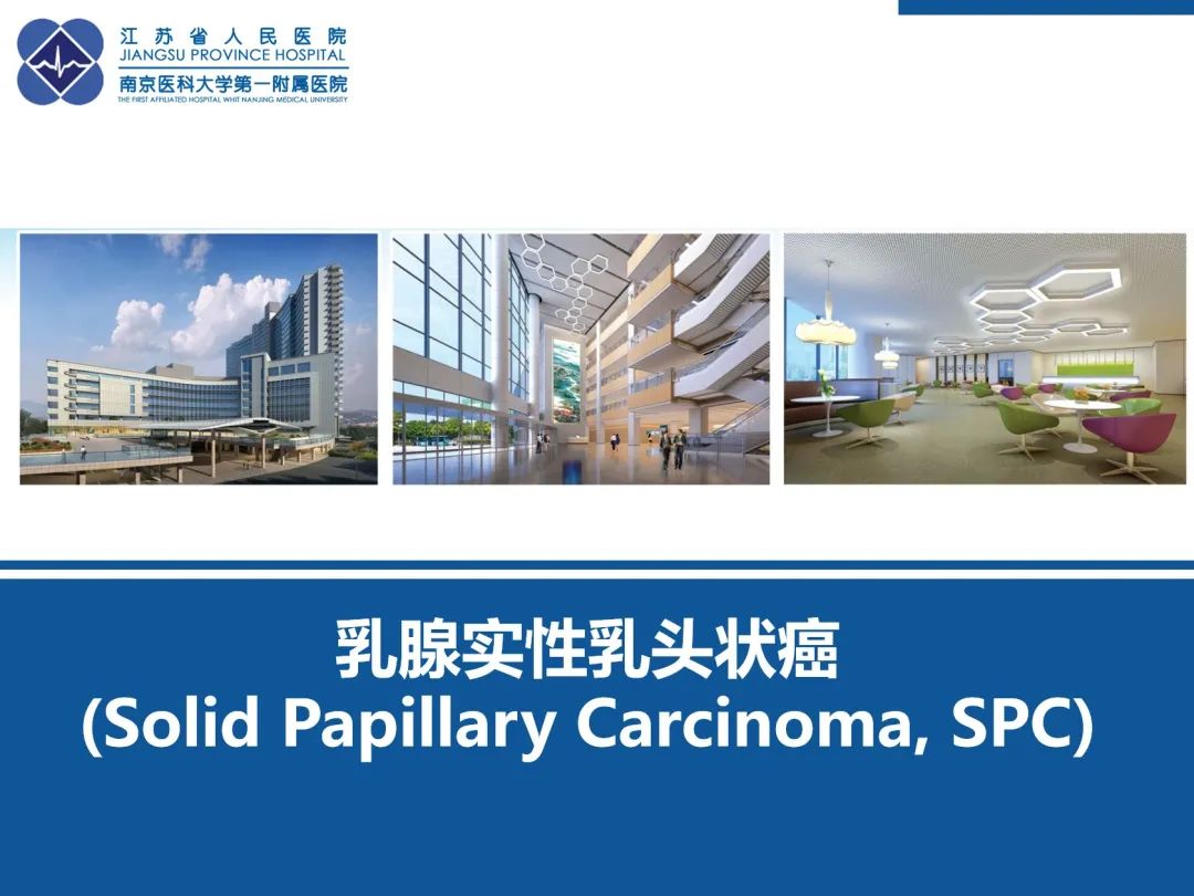 影像PPT - 【PPT】乳腺实性乳头状癌-38