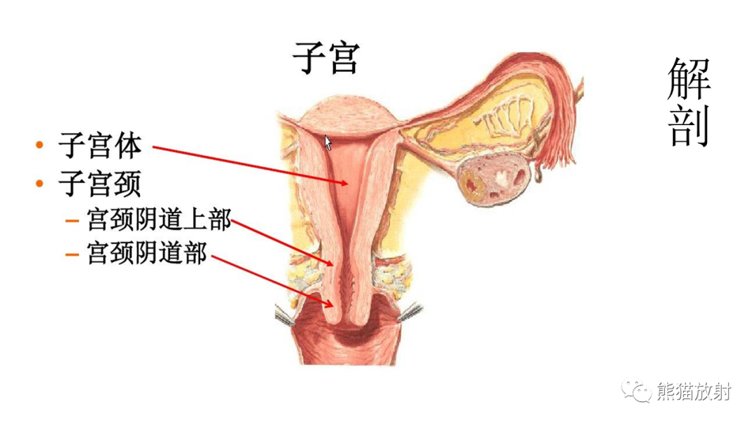 影像PPT - 【PPT】子宫内膜癌的影像分期表现-28