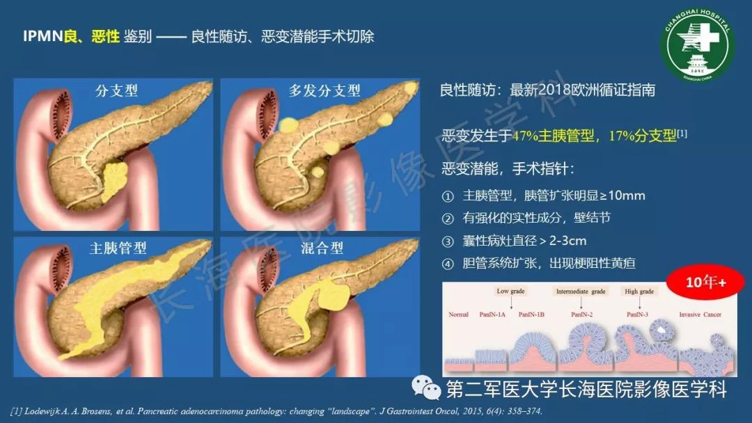 影像PPT - 【PPT】胰腺影像诊断在临床决策中的意义及常见误诊病种-17