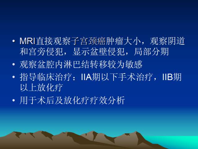 影像PPT - 【PPT】子宫常见疾病的MRI诊断-37