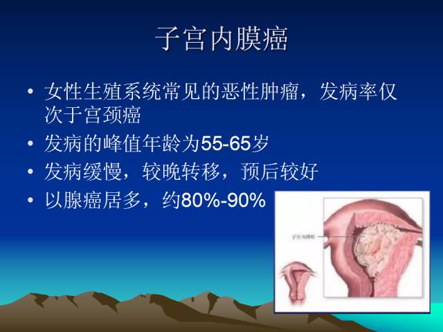影像PPT - 【PPT】子宫常见疾病的MRI诊断-38