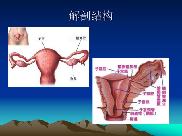 影像PPT - 【PPT】子宫常见疾病的MRI诊断-1