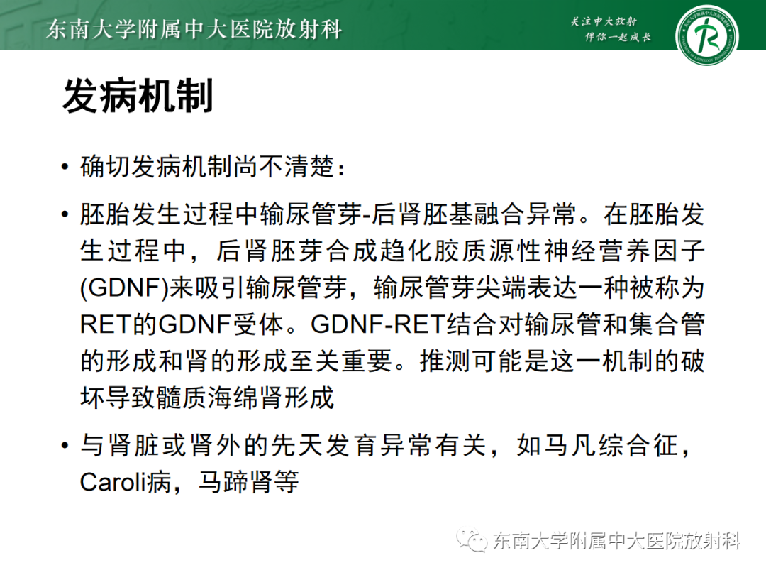 影像PPT - 【PPT】髓质海绵肾-7