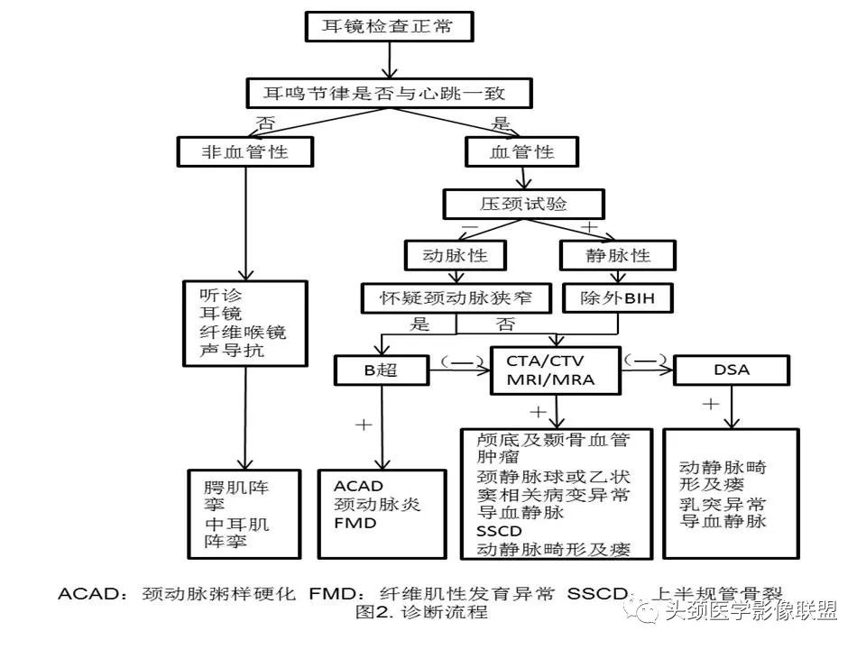 影像PPT - 【PPT】搏动性耳鸣诊疗进展-54