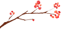 影像PPT - 【病例】肺部光滑结节—至关重要的影像鉴别点-31