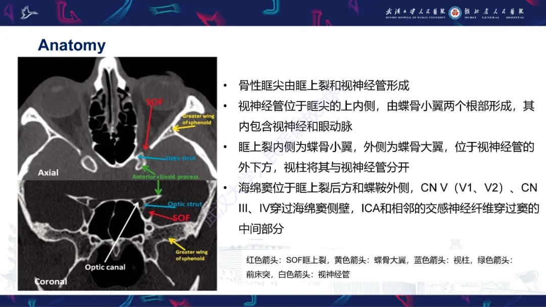 影像PPT - 【PPT】眶尖疾病影像诊断-3