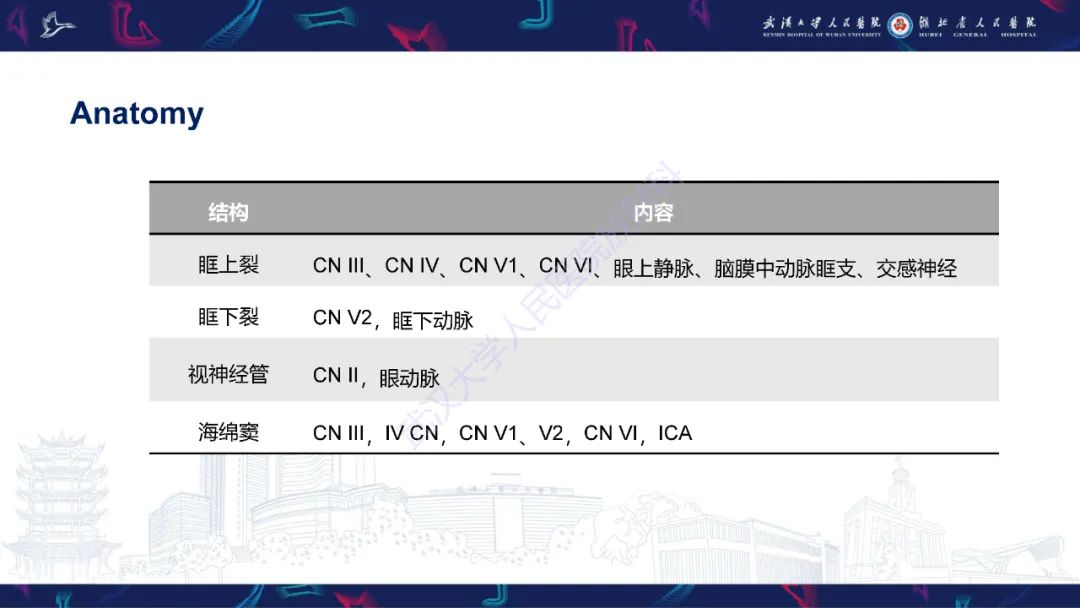 影像PPT - 【PPT】眶尖疾病影像诊断-6
