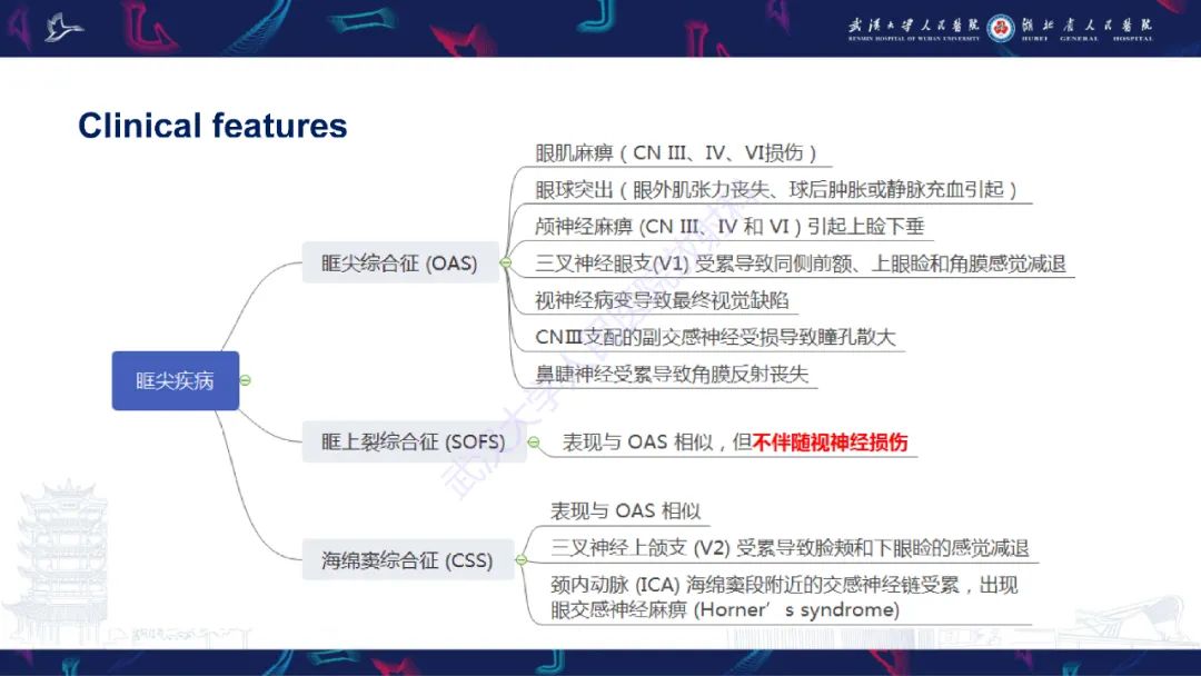 影像PPT - 【PPT】眶尖疾病影像诊断-7