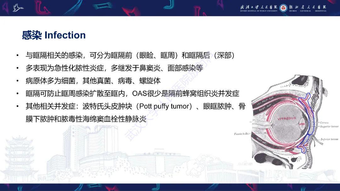 影像PPT - 【PPT】眶尖疾病影像诊断-33