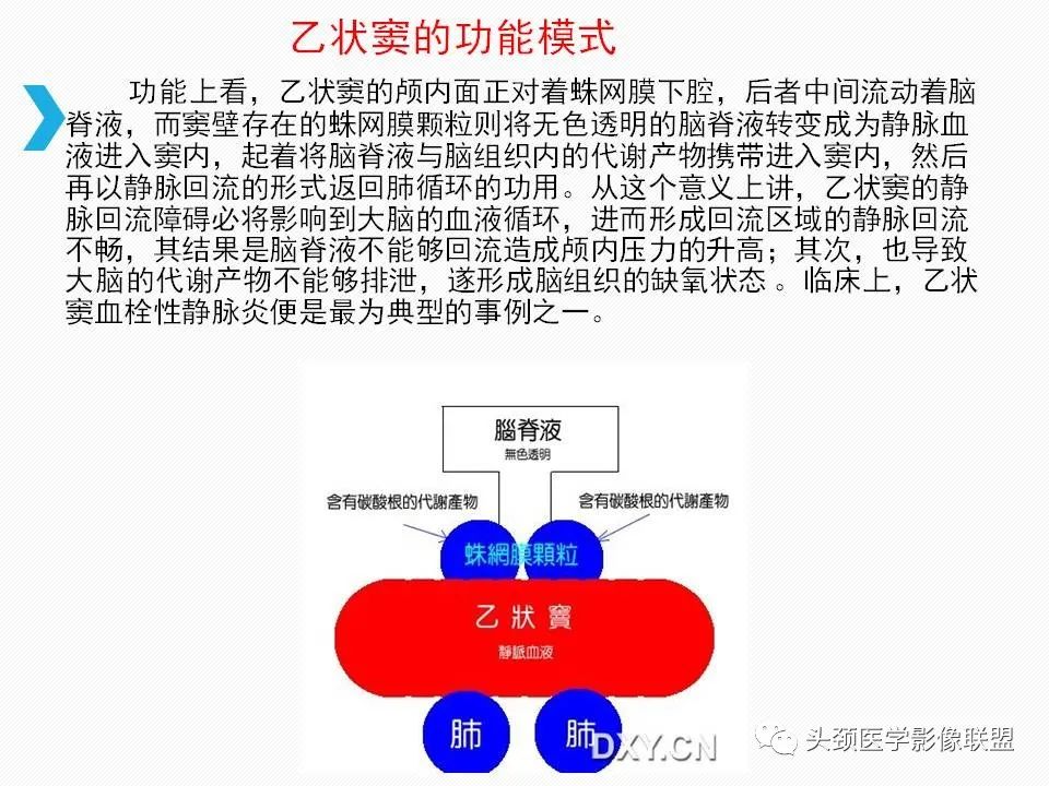 影像PPT - 【PPT】乙状窦憩室再认识-27