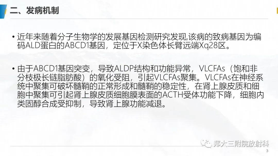 影像PPT - 【PPT】肾上腺脑白质营养不良的影像诊断-3