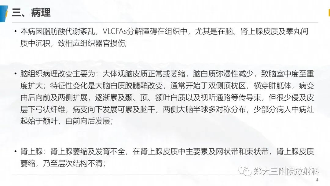 影像PPT - 【PPT】肾上腺脑白质营养不良的影像诊断-4
