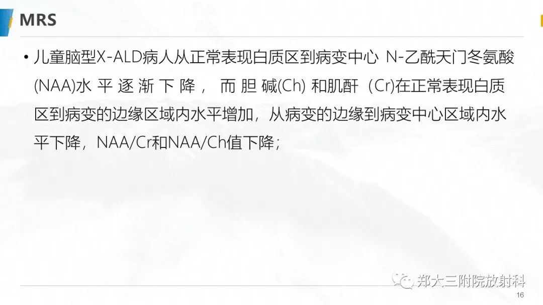 影像PPT - 【PPT】肾上腺脑白质营养不良的影像诊断-16
