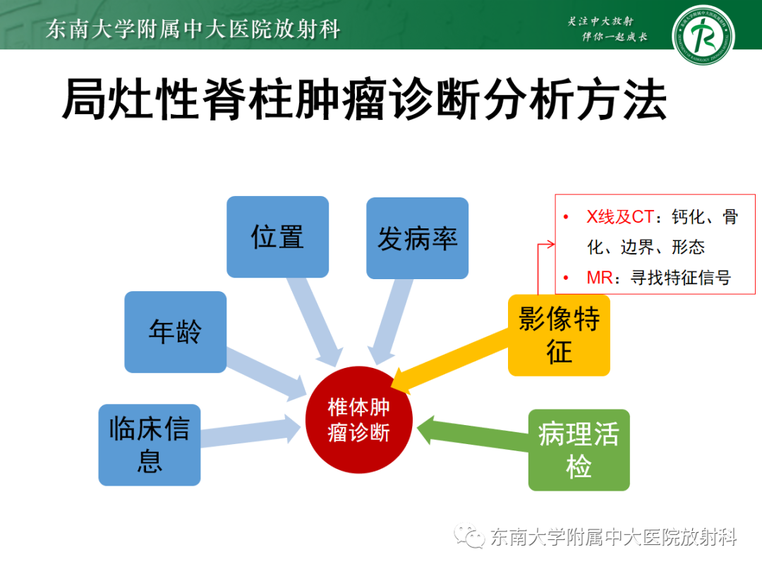 影像PPT - 【PPT】椎体孤立性肿瘤的诊断思路-43 影像PPT - 【PPT】椎体孤立性肿瘤的诊断思路-43