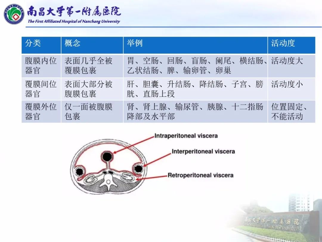 影像PPT - 【PPT】常见腹膜后肿瘤的诊断及鉴别诊断-23