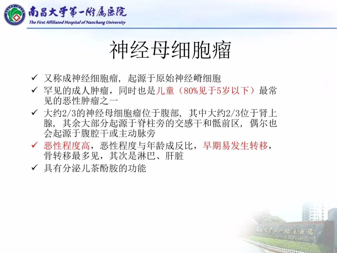 影像PPT - 【PPT】常见腹膜后肿瘤的诊断及鉴别诊断-57