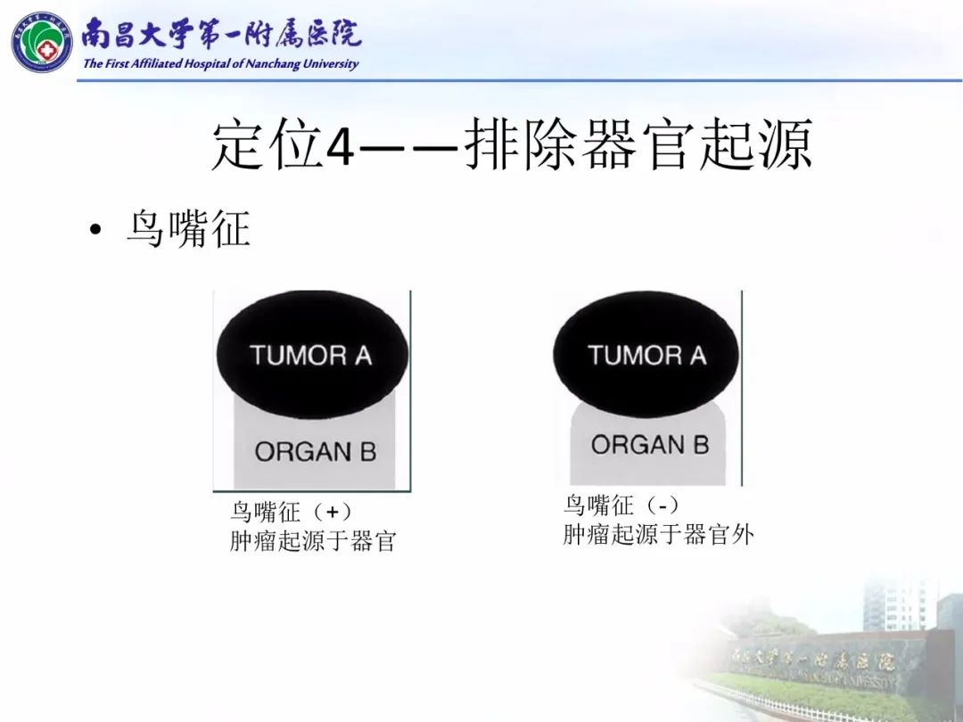 影像PPT - 【PPT】常见腹膜后肿瘤的诊断及鉴别诊断-72