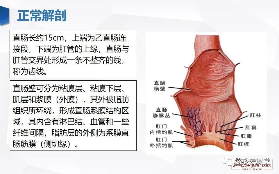 影像PPT - 【PPT】直肠癌术前MR分期-3