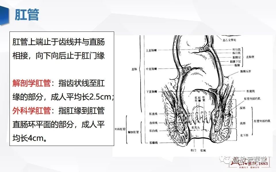 影像PPT - 【PPT】直肠癌术前MR分期-5